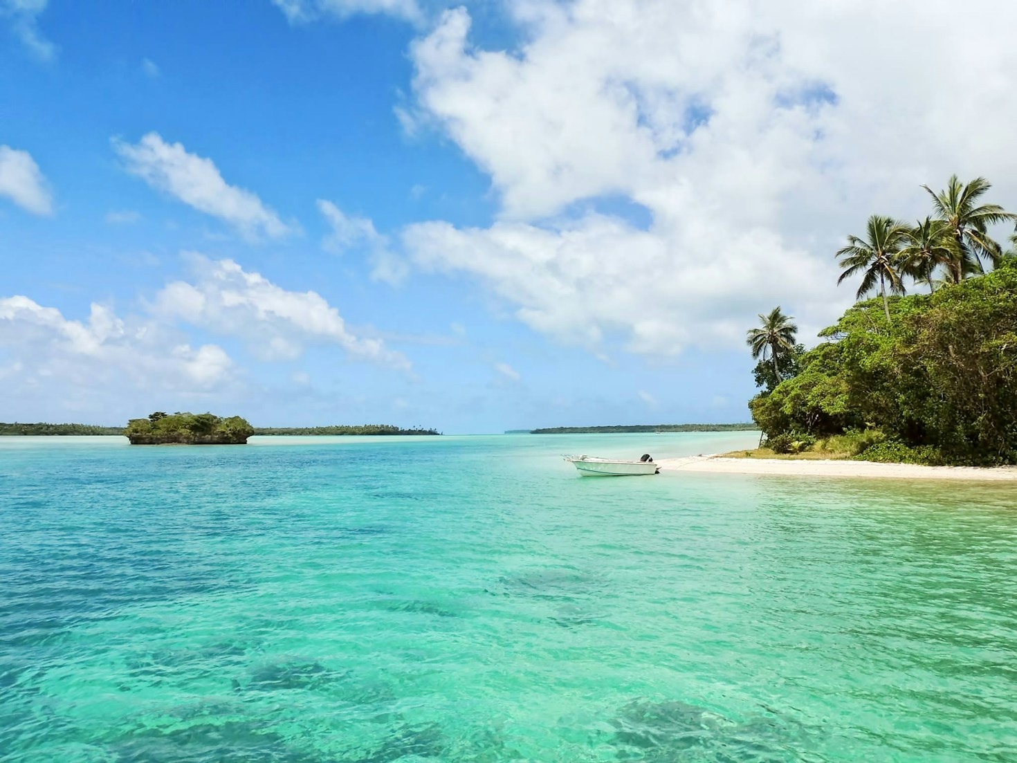 Exploring Jamaica Worry-Free: A Traveler’s Guide